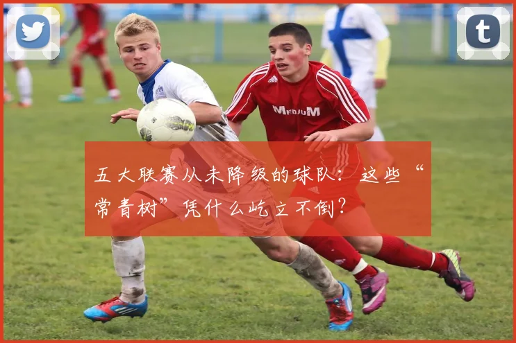 五大联赛从未降级的球队:这些“常青树”凭什么屹立不倒?